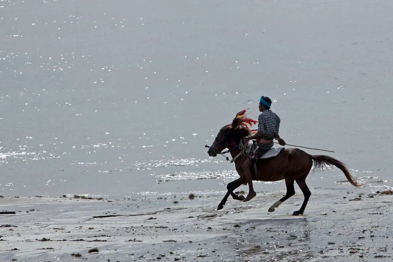 Horseman · low tide